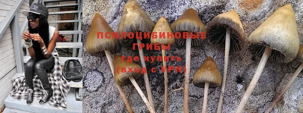 мдма Карпинск