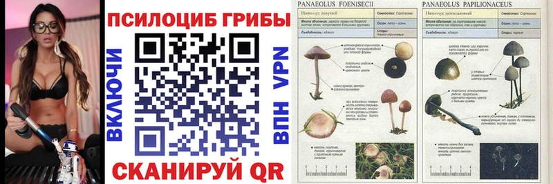 наркошоп  OMG зеркало  Псилоцибиновые грибы Psilocybe  Самара 