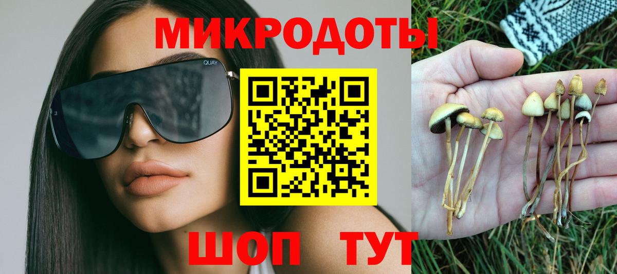 Псилоцибиновые грибы мицелий  Псилоцибиновые грибы Magic Shrooms  купить наркотик  Самара  Вход с VPN 